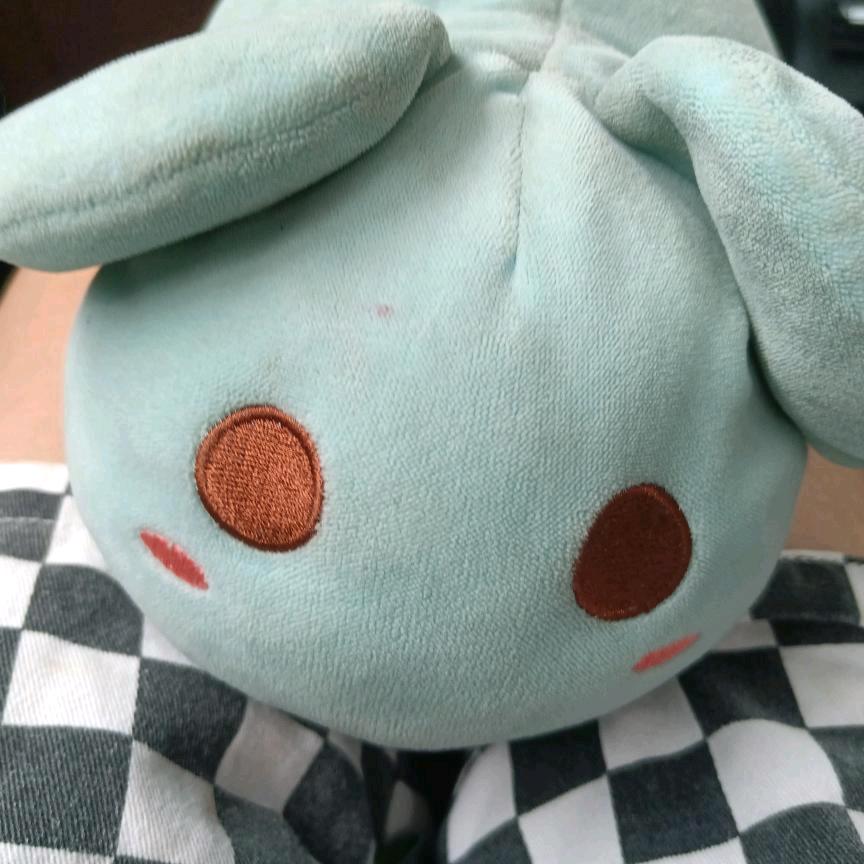 艺宸菀（原连晨）