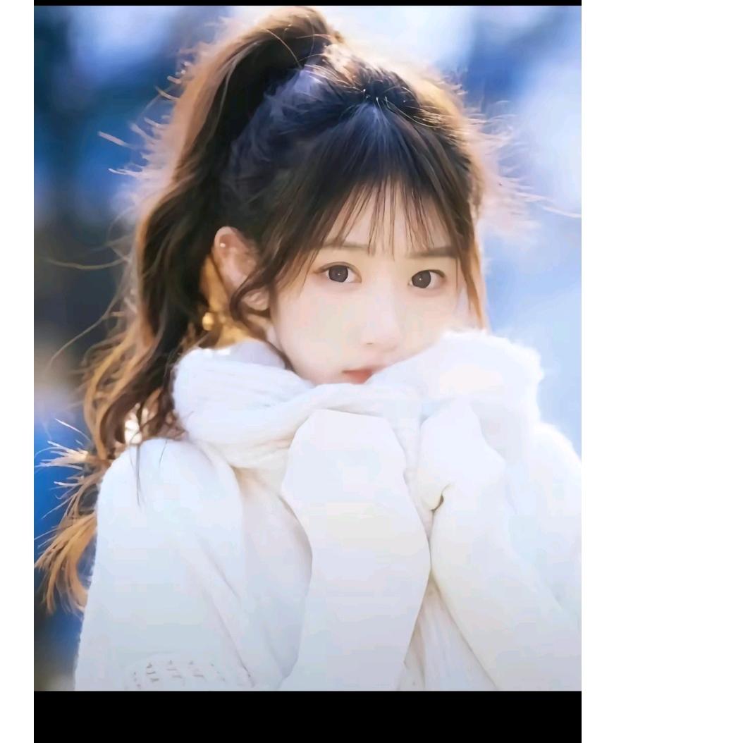 十一(好物在橱窗)