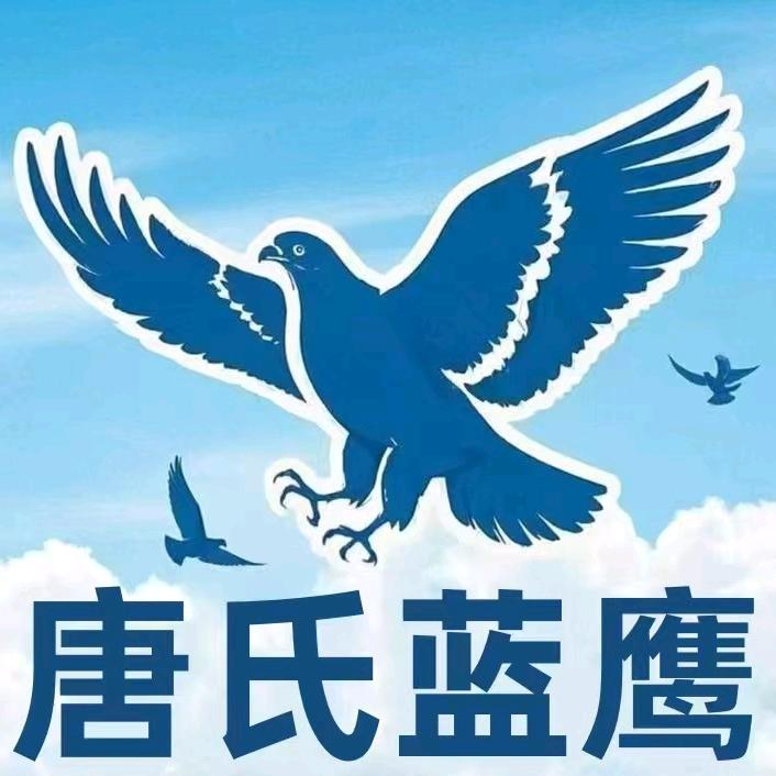 唐氏蓝鹰