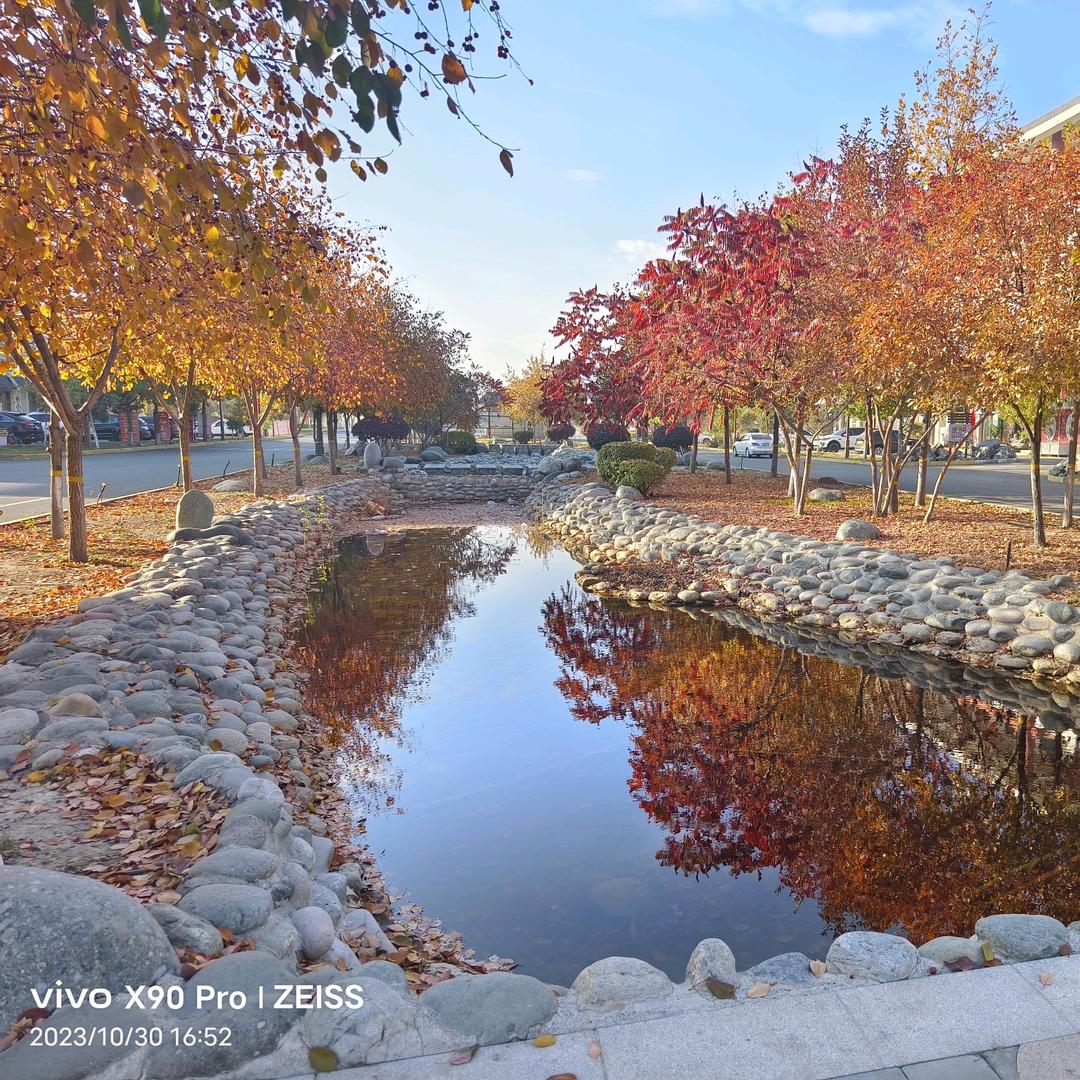 新疆顺迎京运商贸有限公司