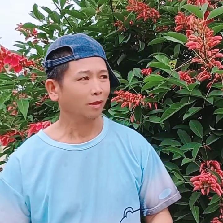追风