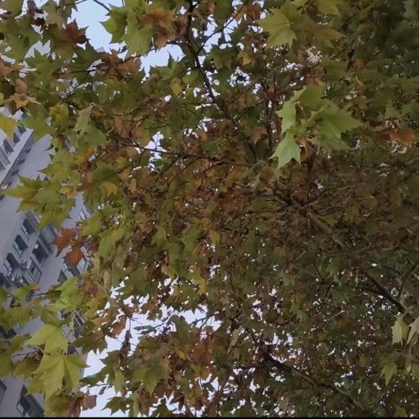 🌈瞅啥呢⁰⁵²⁶