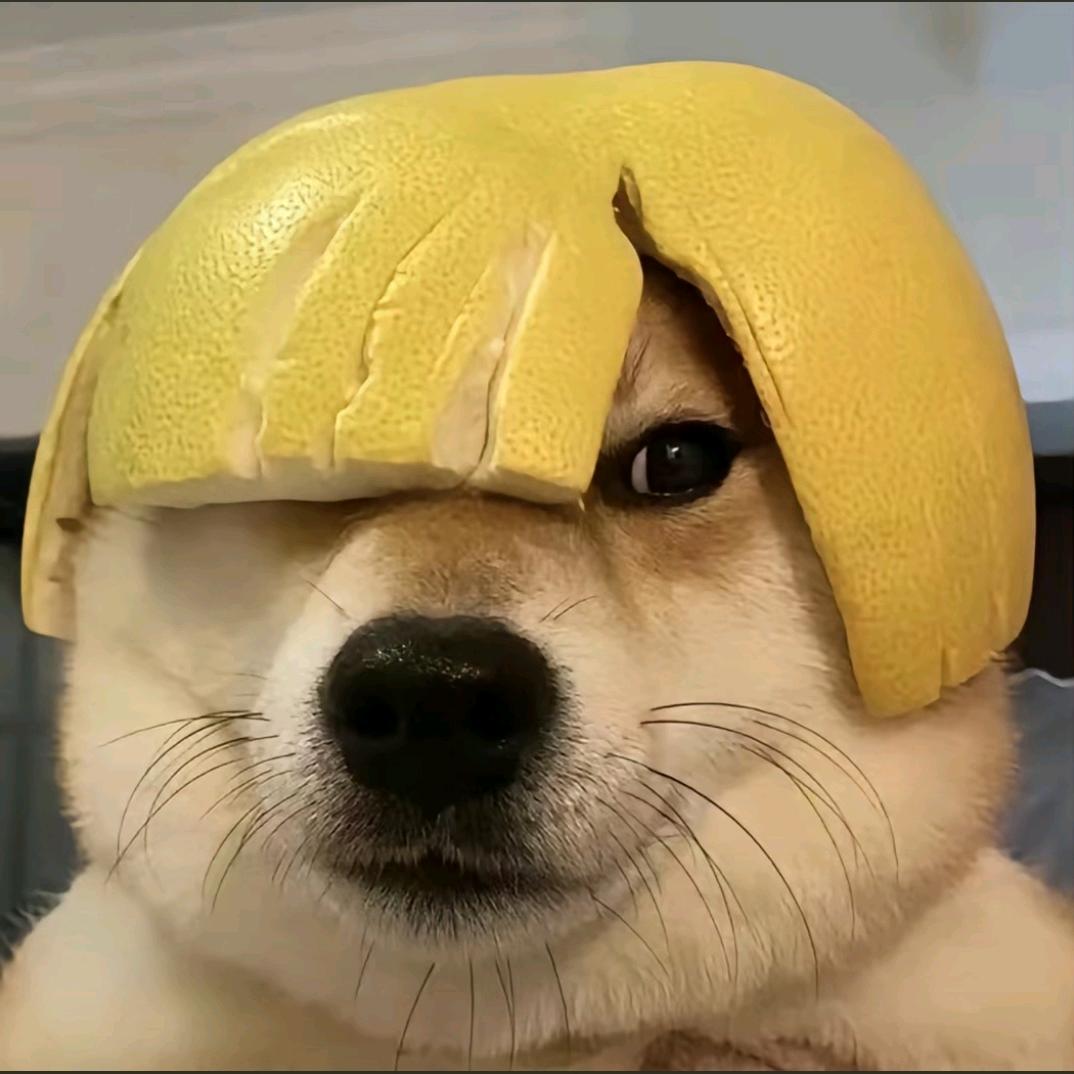 ⁰⃚⃙̴༝