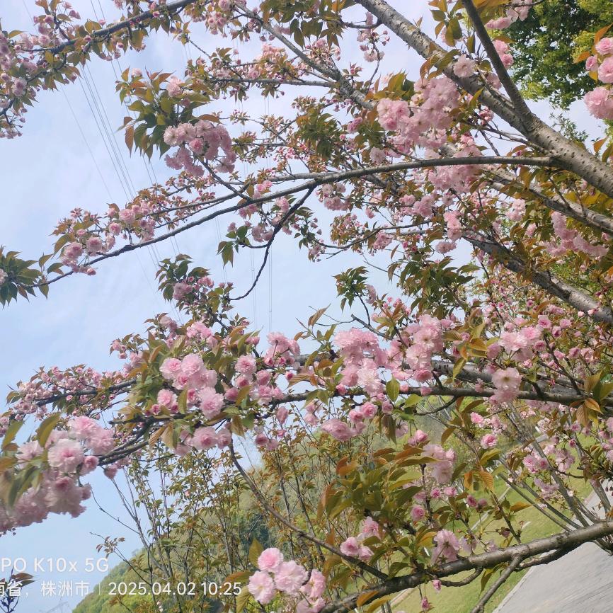 💋🌸🌴🎀ヽ(≧Д≦)ノ
