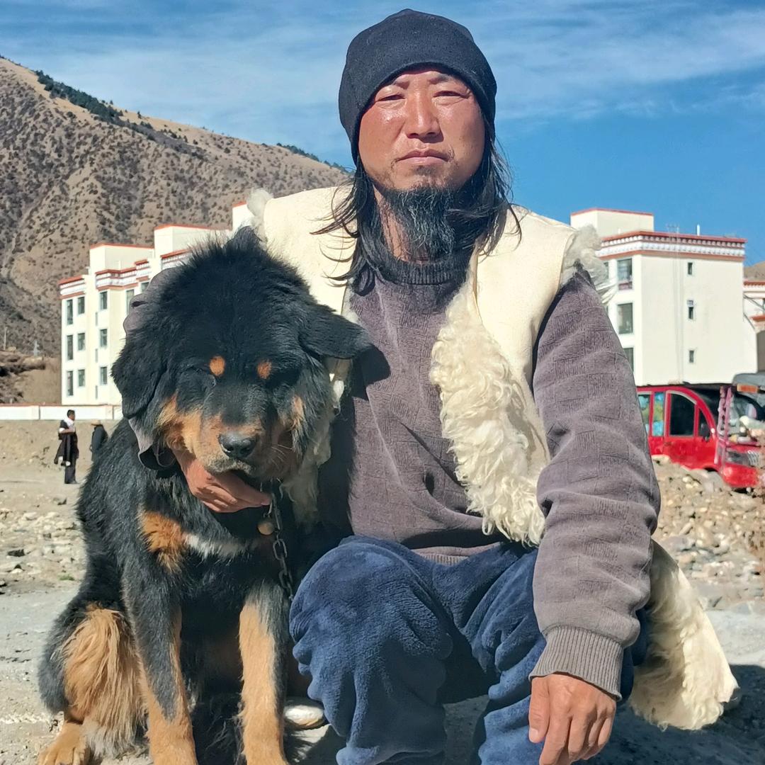 大龙闯天下