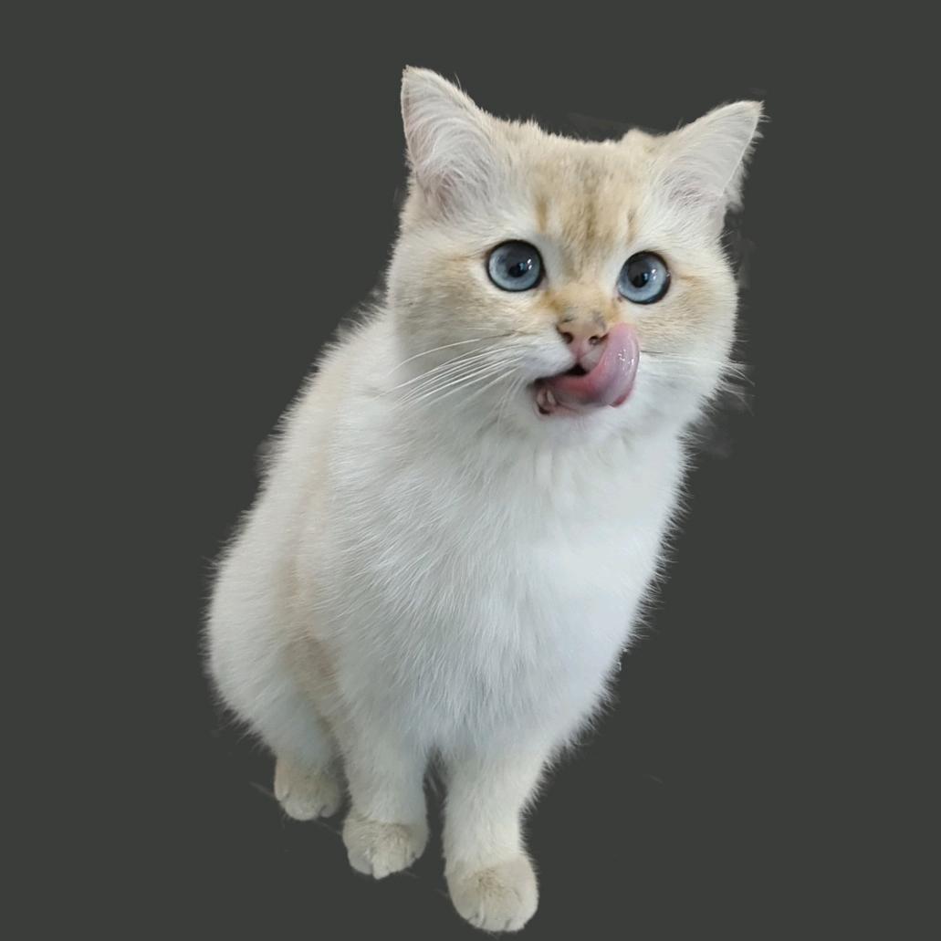 𝙇𝙪𝙘𝙠𝙮小追求