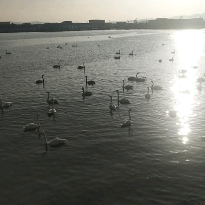 海在阳光下