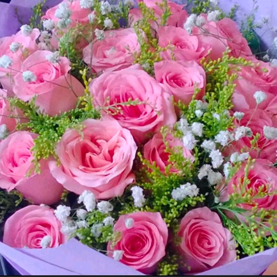 🌻苦尽甘来🌻