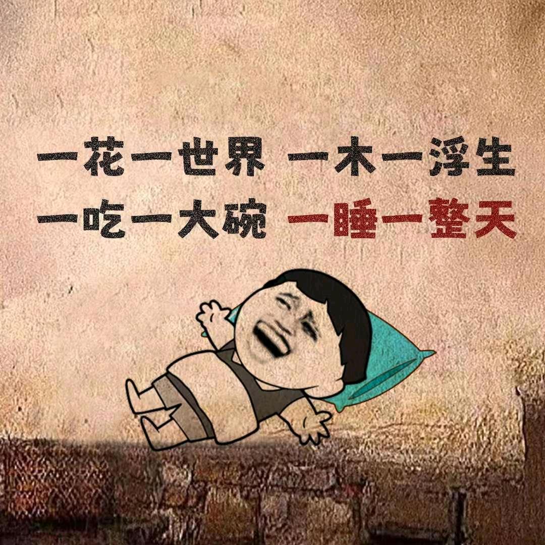随便起个名儿吧