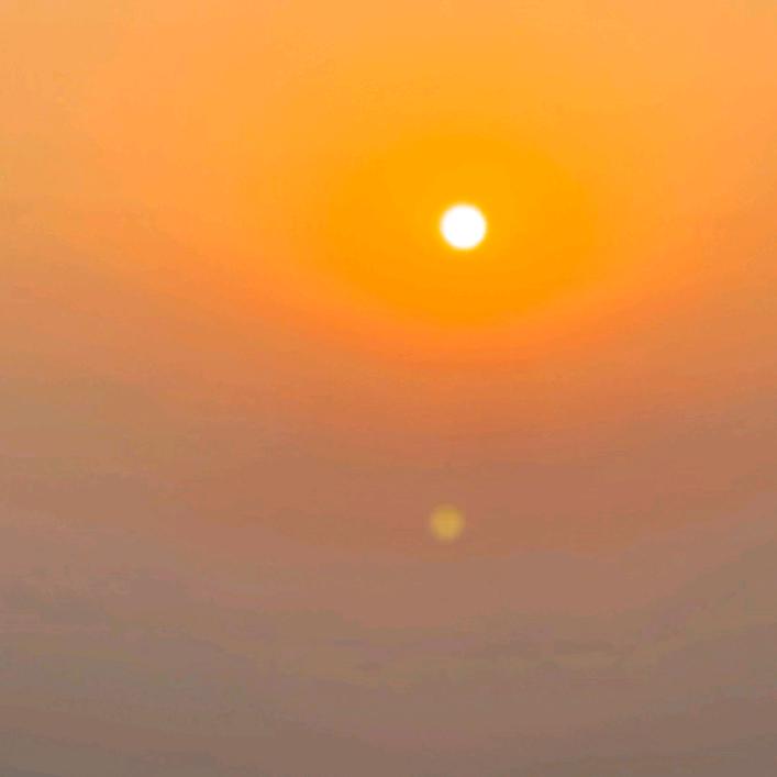 🌹孤芳自赏🌹