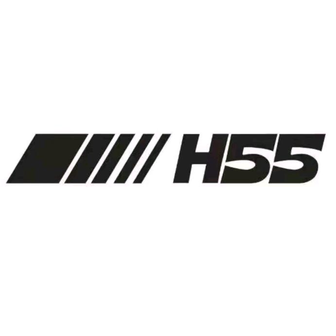 H55潮鞋集成店 Media  直播切片
