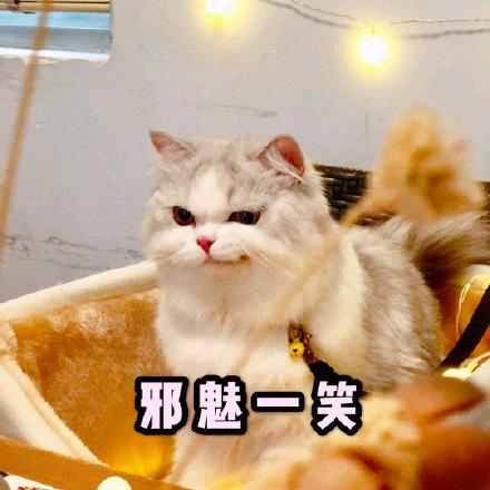 小小小艾比