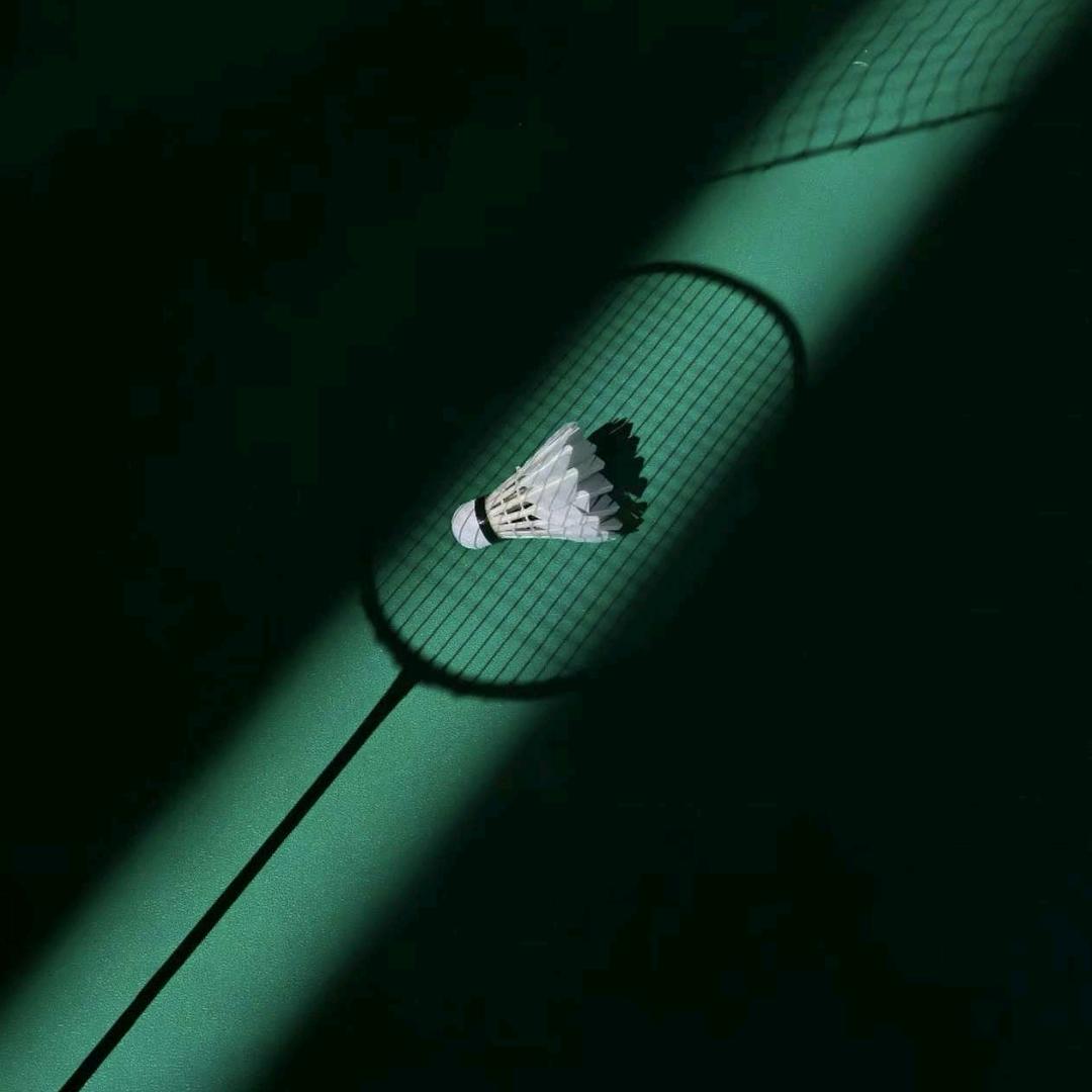 不  是  乔  乔 🏸