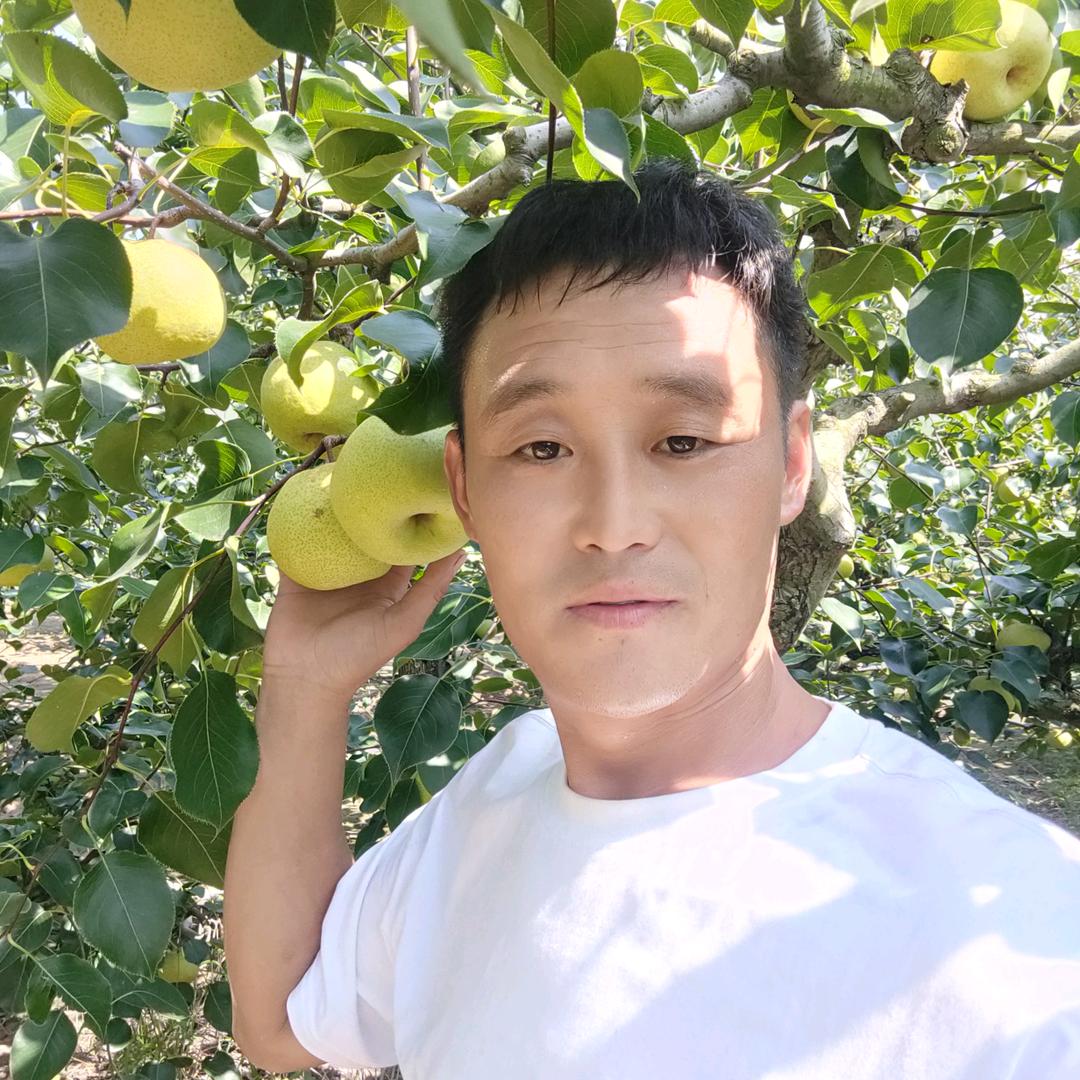 酥梨刘小眼