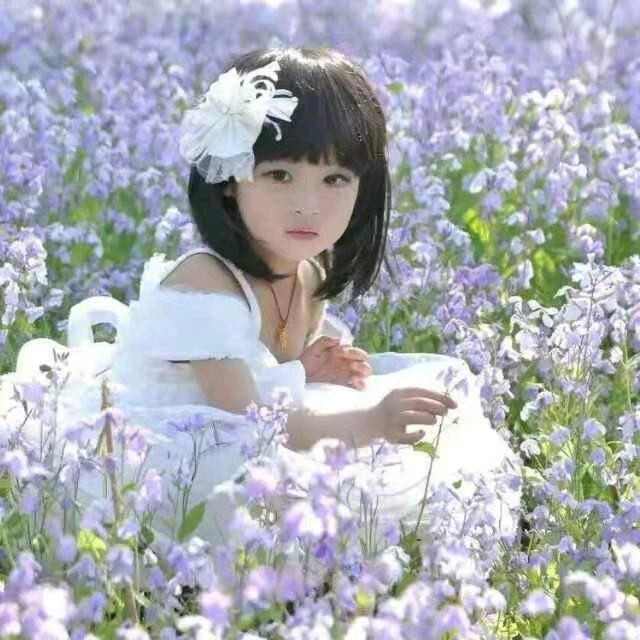 AA焦虎刚强玻璃门