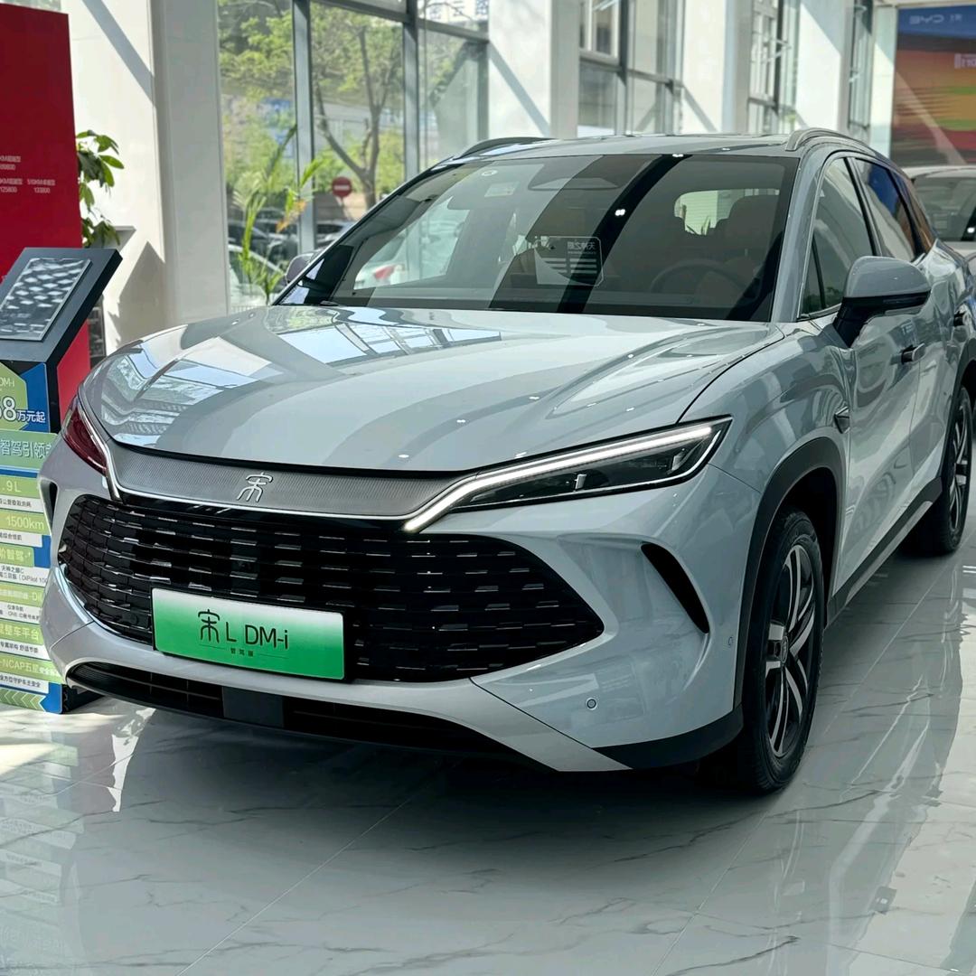 邵阳比亚迪盛世开元4S店