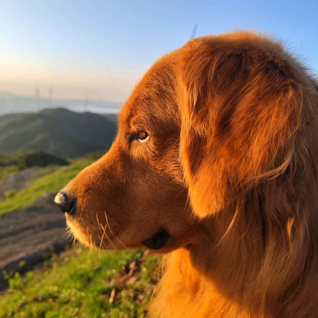 张三岁📸