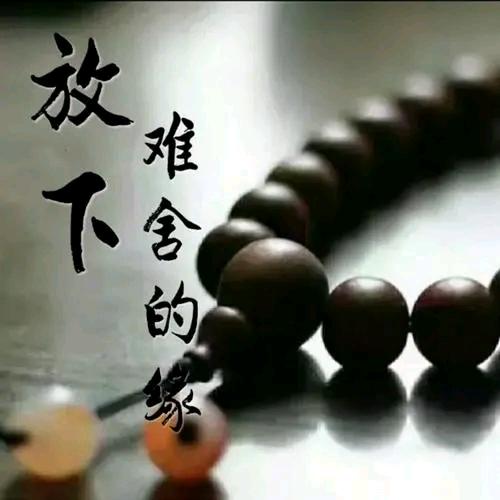 阜新卖手机的来哥