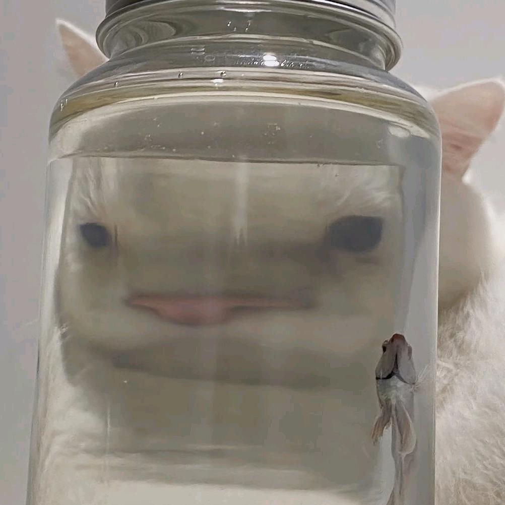 生行