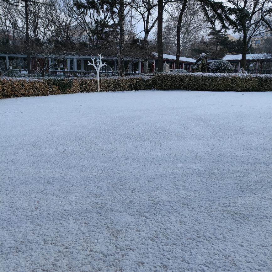 踏雪