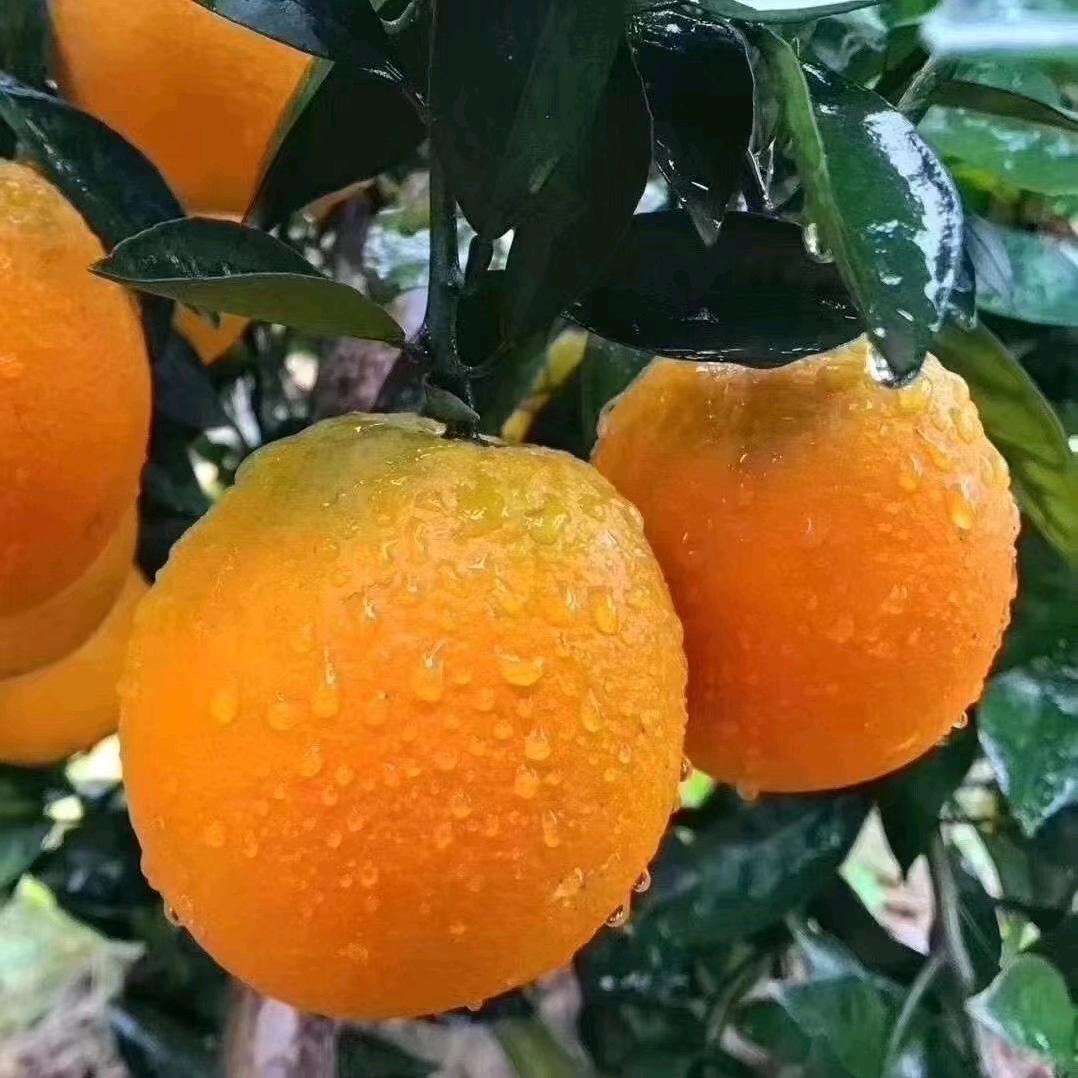 978760451