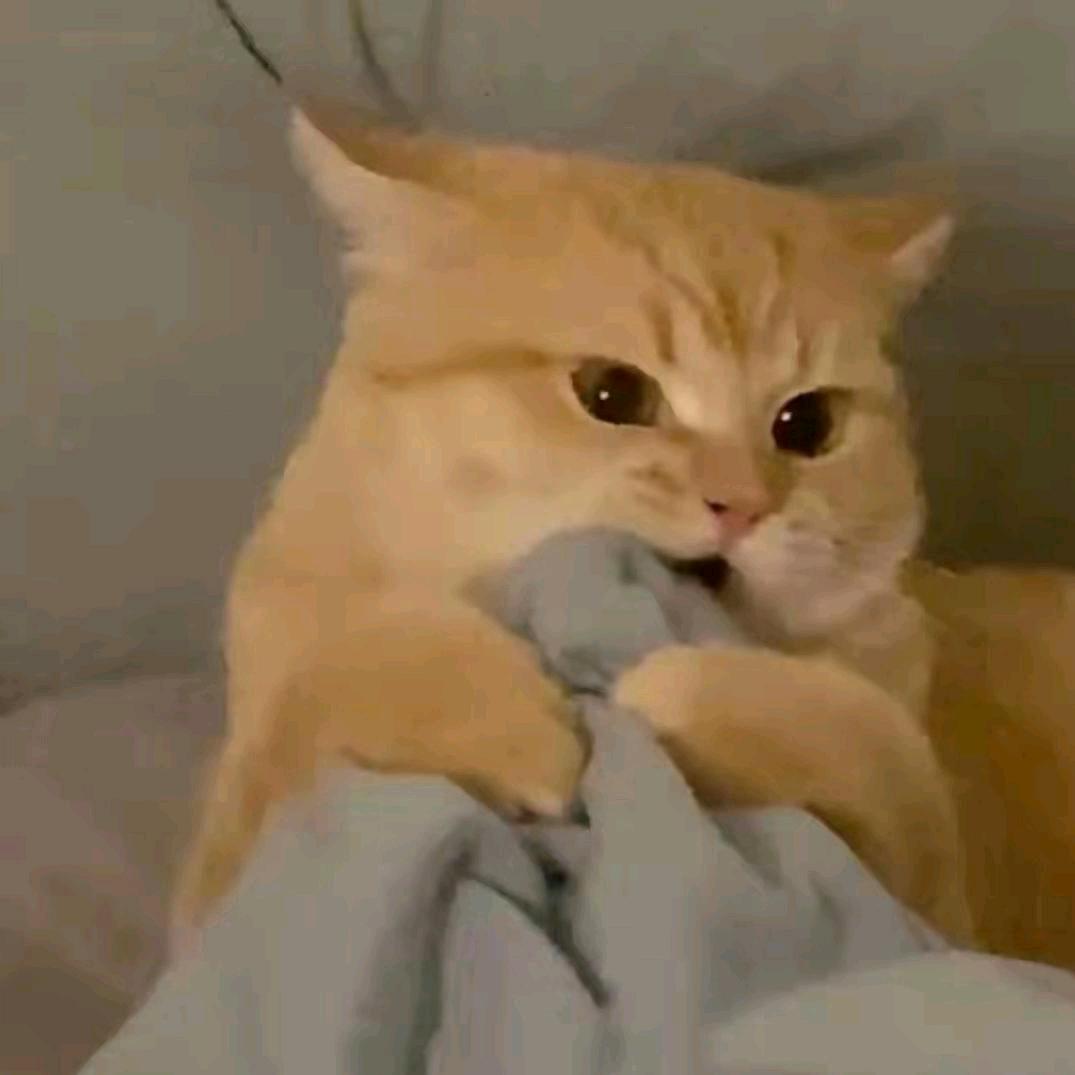 旺仔老爹
