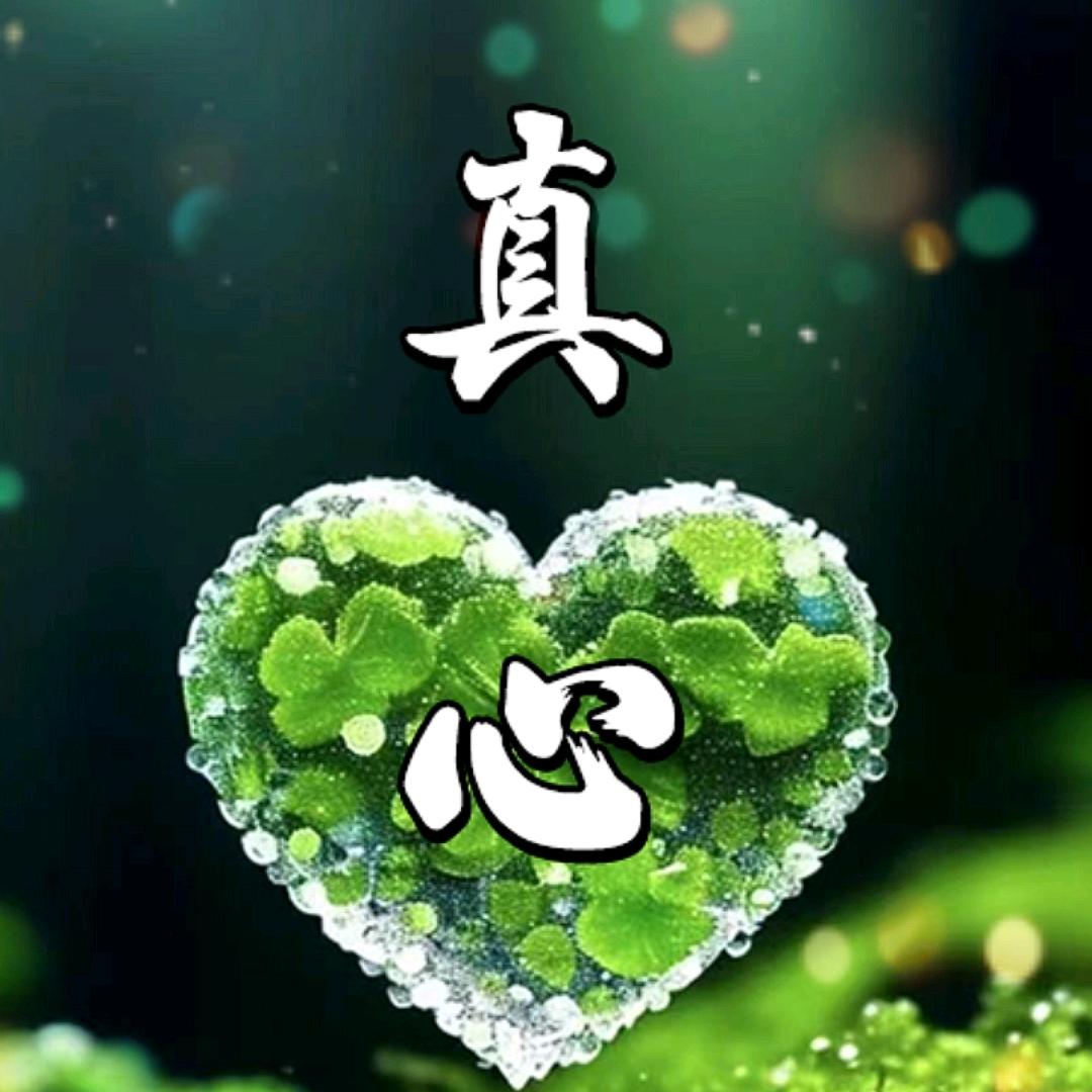 高忱无优🌸🌸🌸🌸拒绝私聊