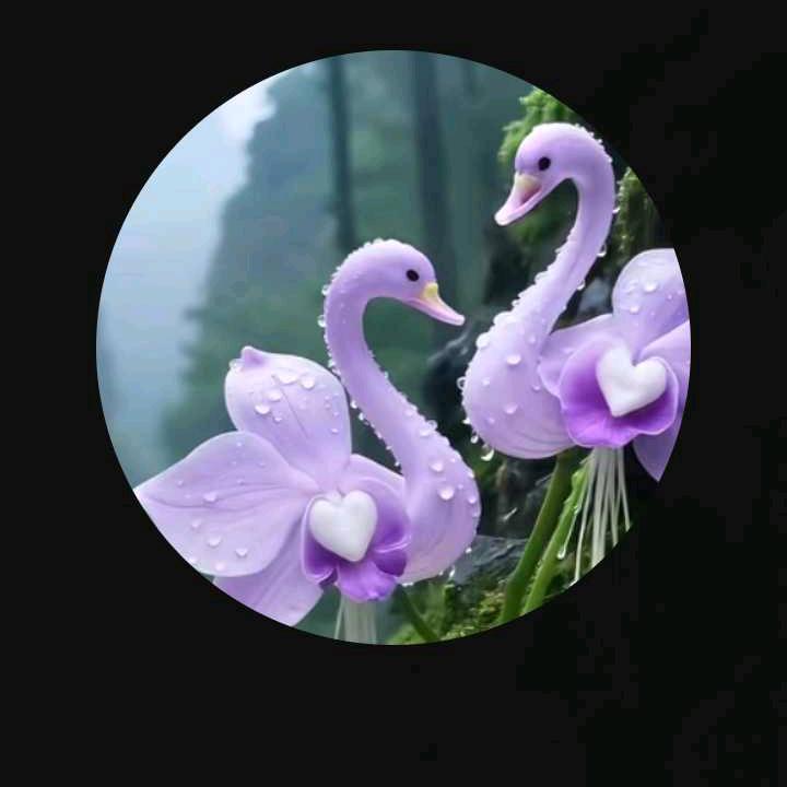 🐍⁰⁴.₀₁陈℘࿐