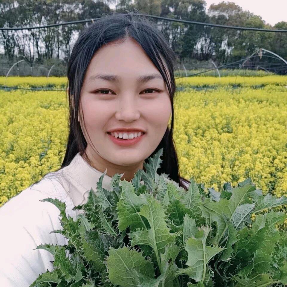 小燕飞