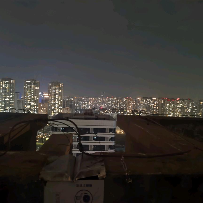 小燕子