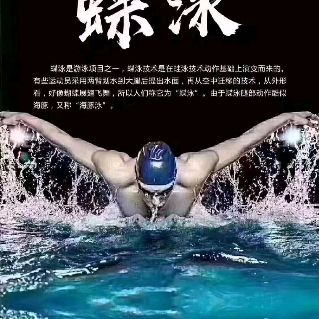 游泳培训