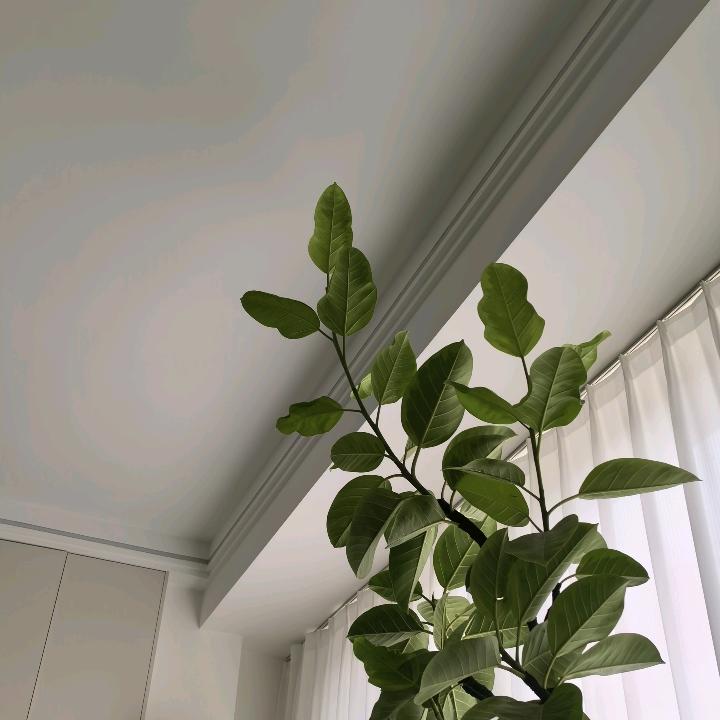 记录念伊的美好生活