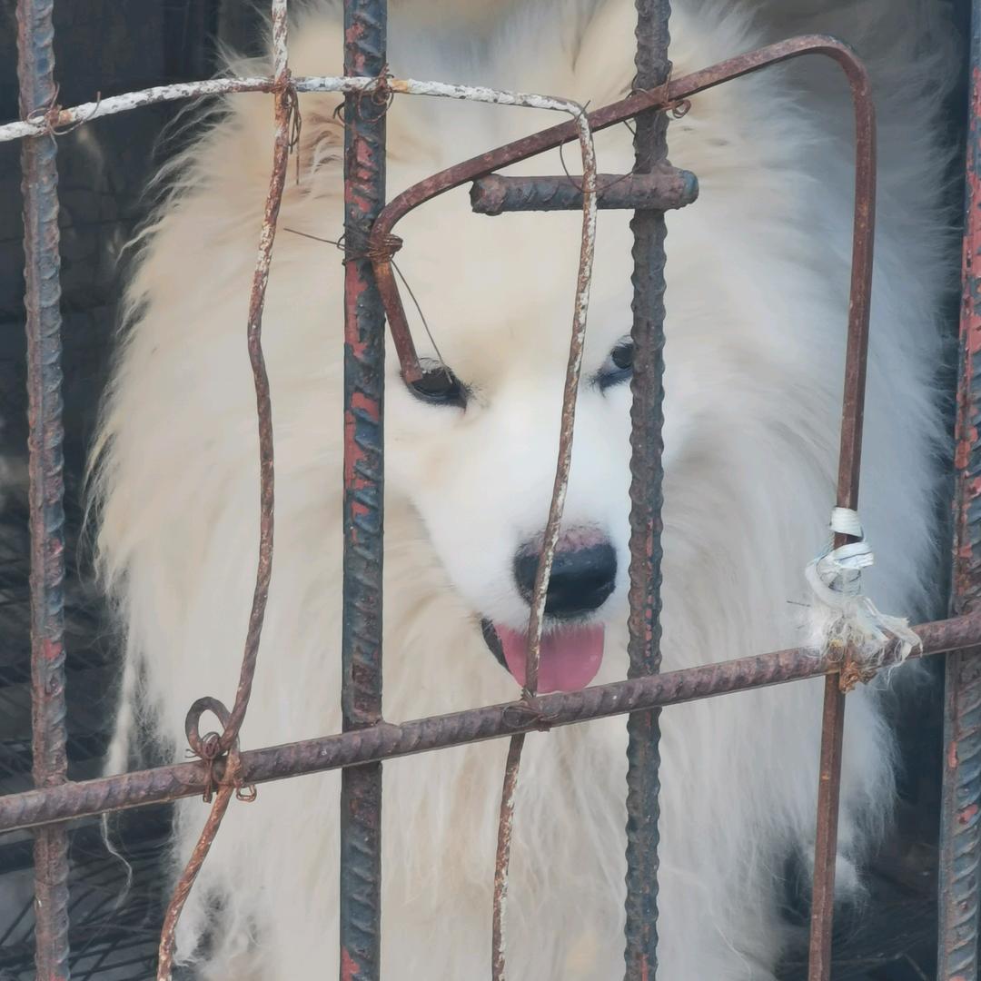 唯独