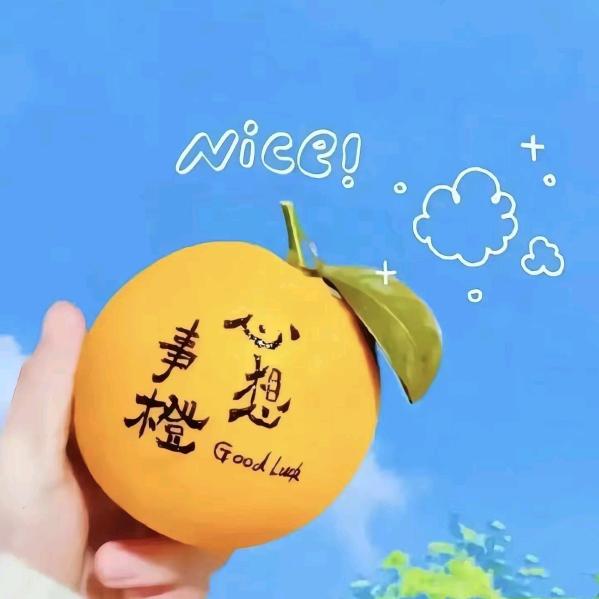 顺理成张