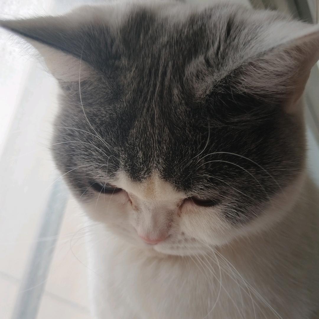 🧢ྀི 姜心比心