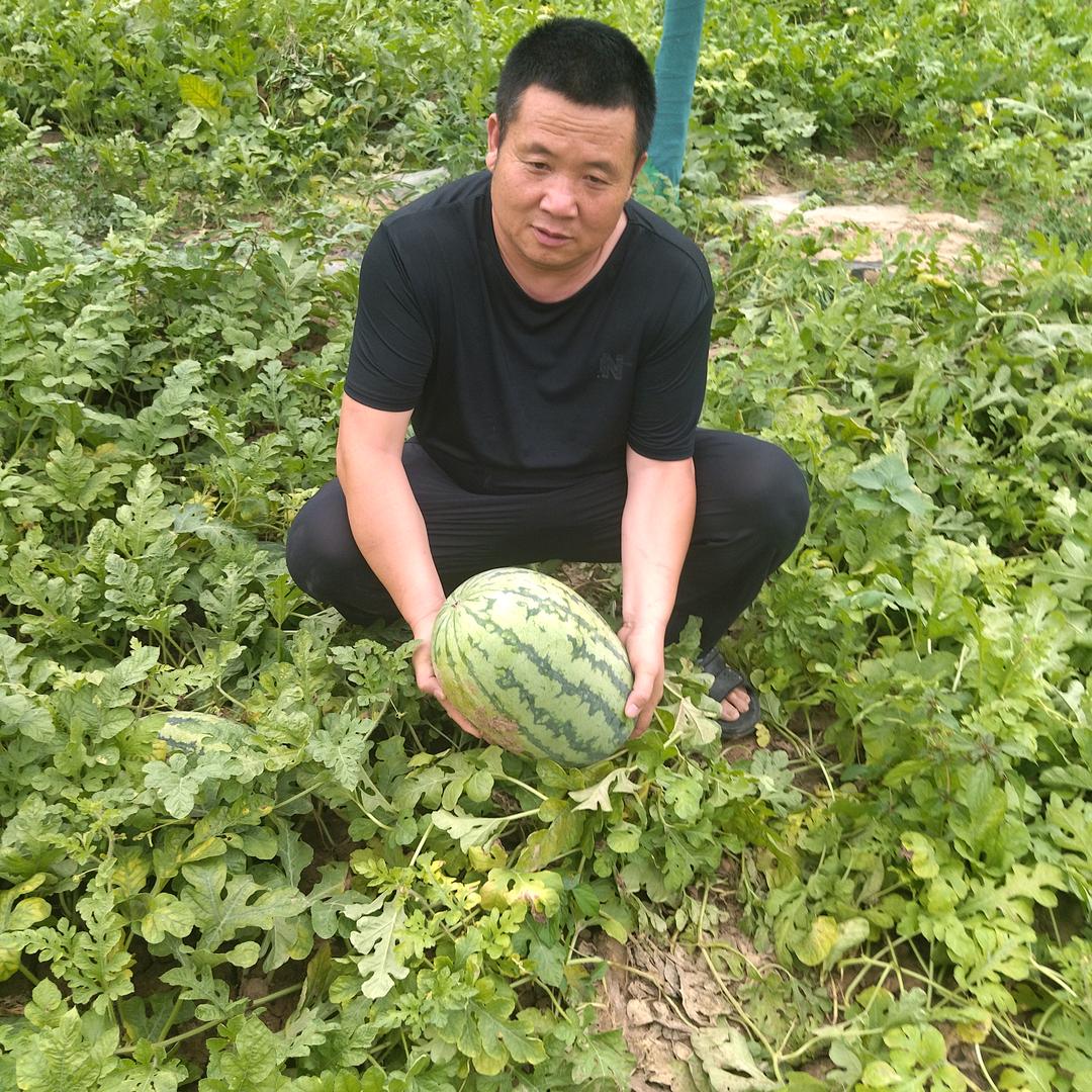 赵家院子