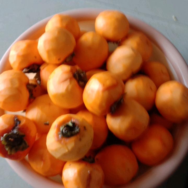 偏心的老张