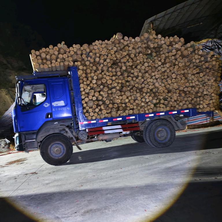 容县❤️拉木仔