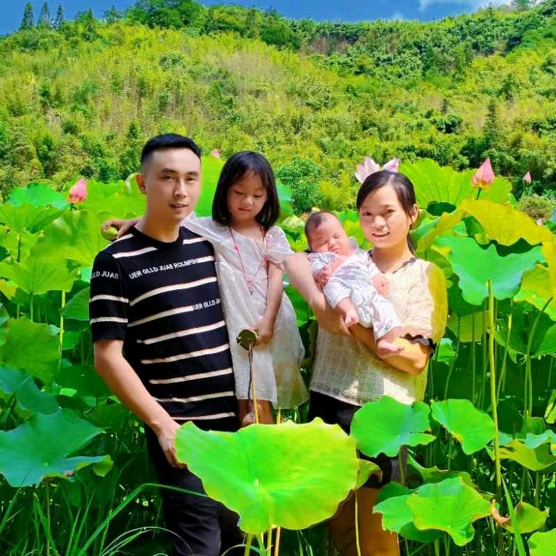 唐宝