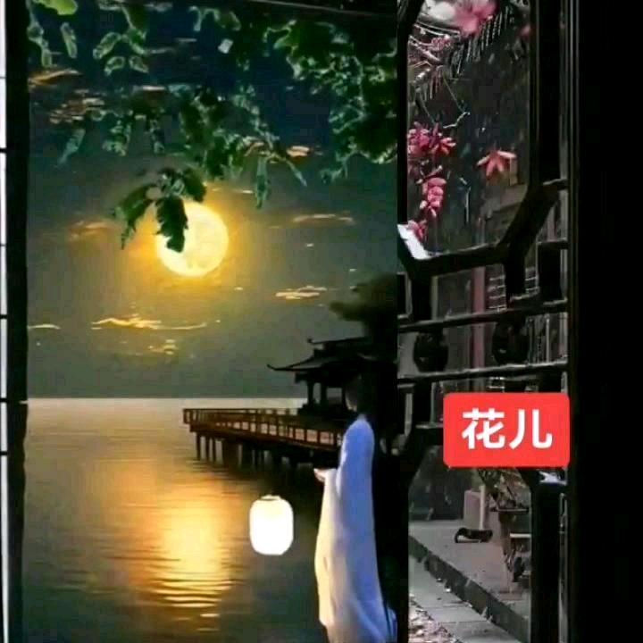 赏花🈷️圆