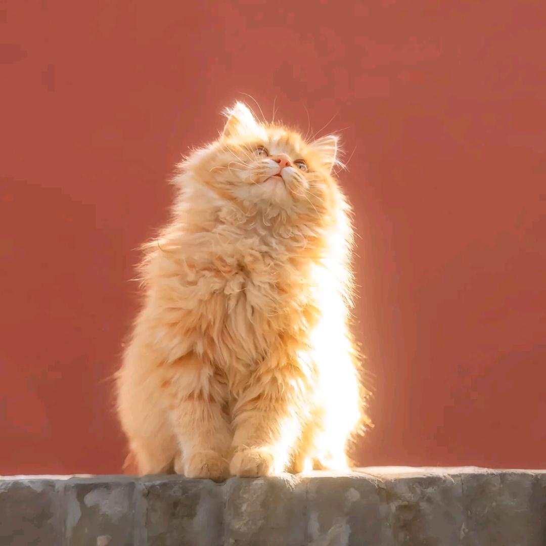 邑一