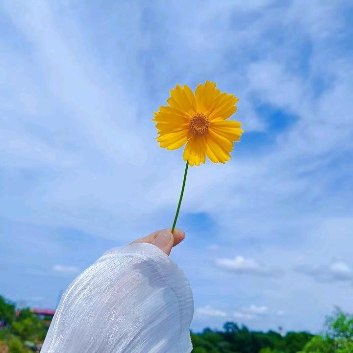 爱生活爱临沂