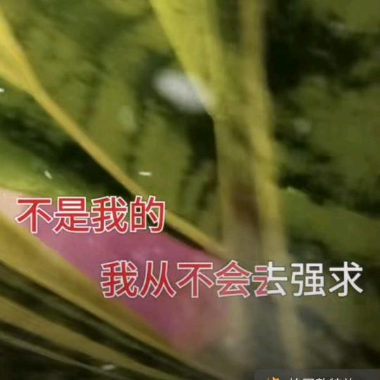 🌻前途光明🎄