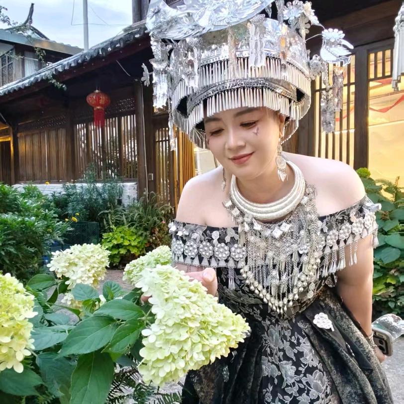 如歌（改编歌）🌱