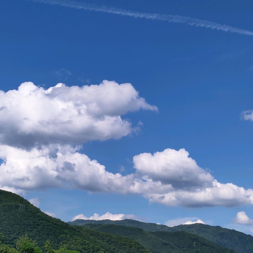 卧底船长(边境码头)