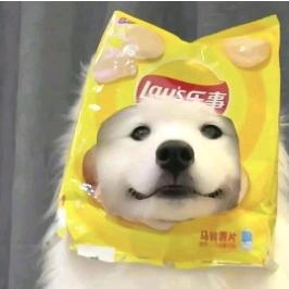 啊呜汪唧🍨