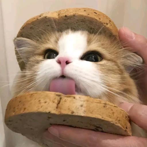 一折宠物食品工厂