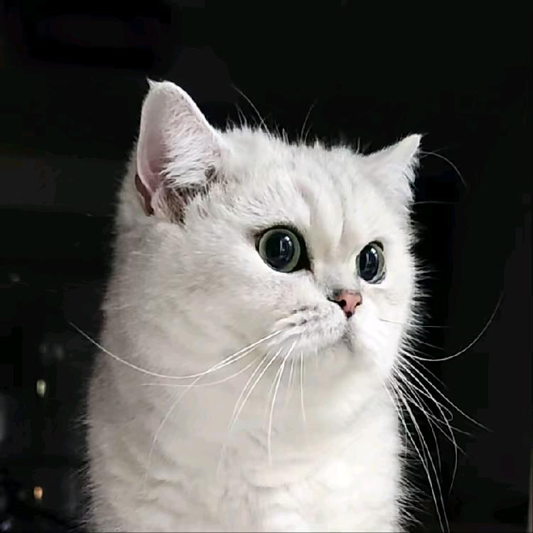 这高兴