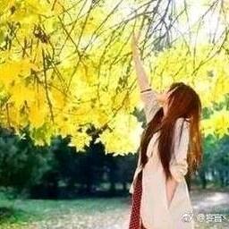 云烟儿