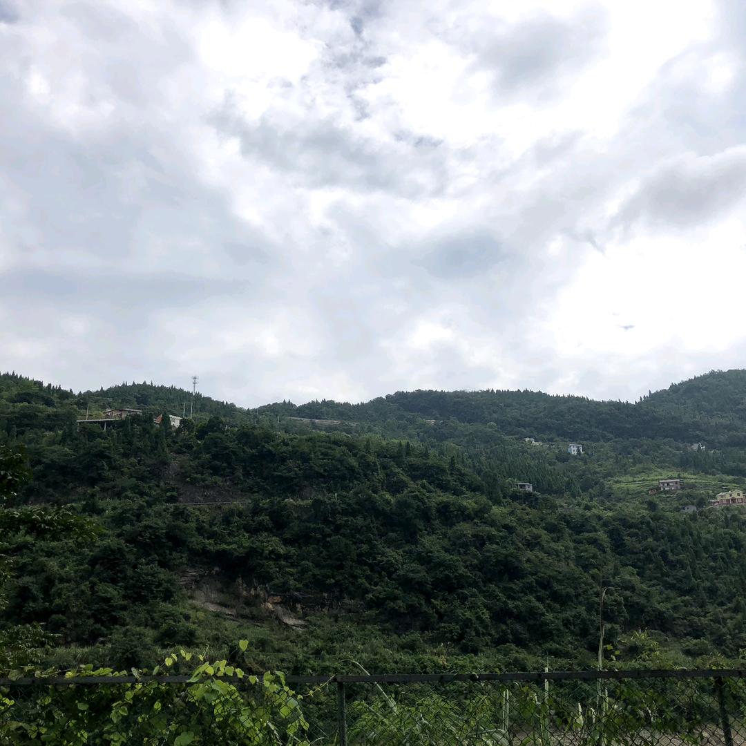 会飞的鱼🐠